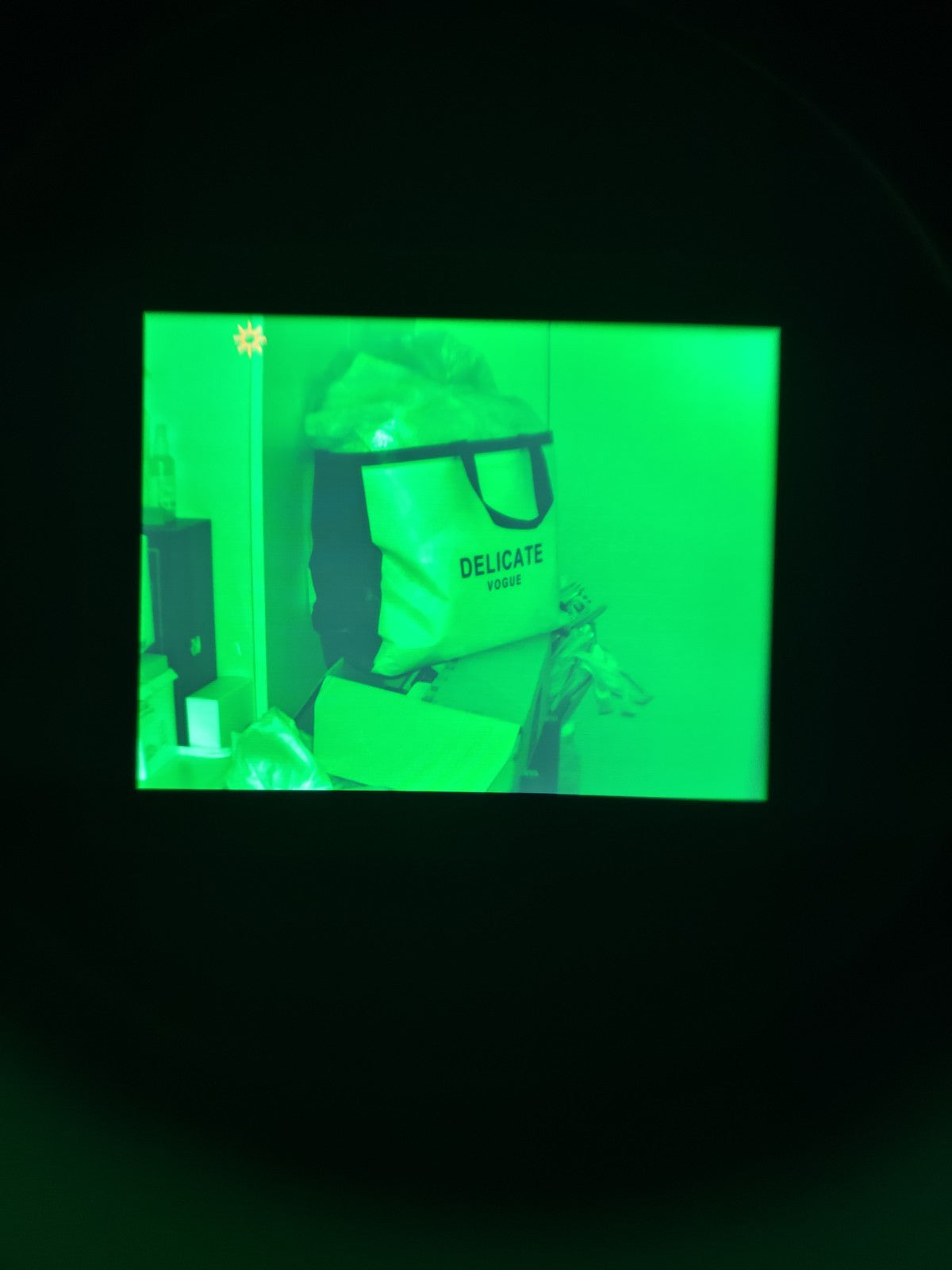 DI-31AS Digital Binocular Night Vision Goggle