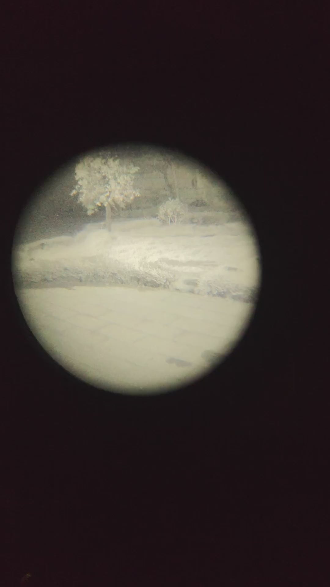 LAN31 JIMNVT GEN2+ White Phosphor Binocular NVG - FOM 1400