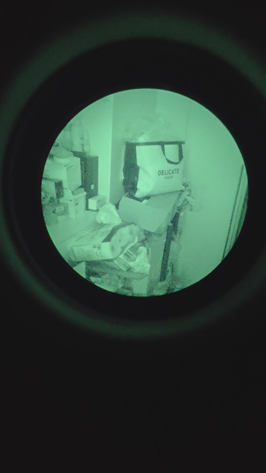 Photonis Echo GEN2+ White Phosphor PVS-14-Style Monocular - FOM 1800