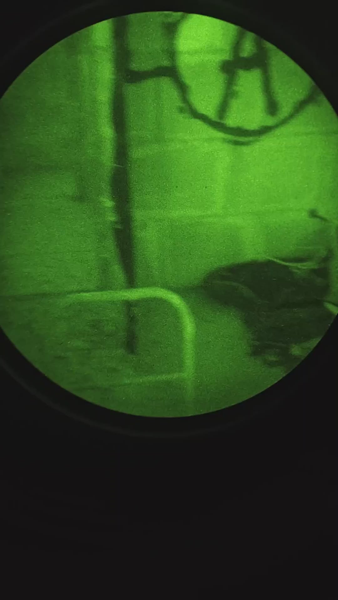 ARGUS BNVD 1431 NNVT Gen 3 Green Phosphor - FOM 1800
