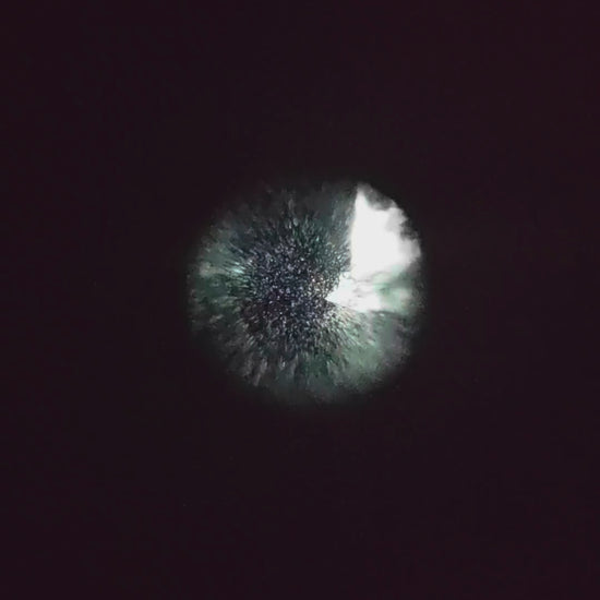 Reference video through a white-phosphor PVS-14 monocular; image appearance and tube FOM vary by unit.