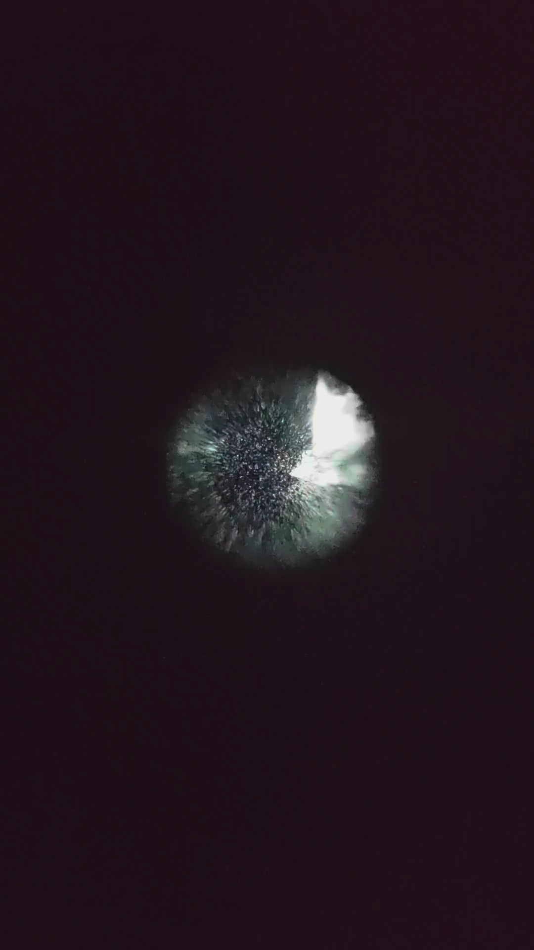 Reference video through a white-phosphor PVS-14 monocular; image appearance and tube FOM vary by unit.