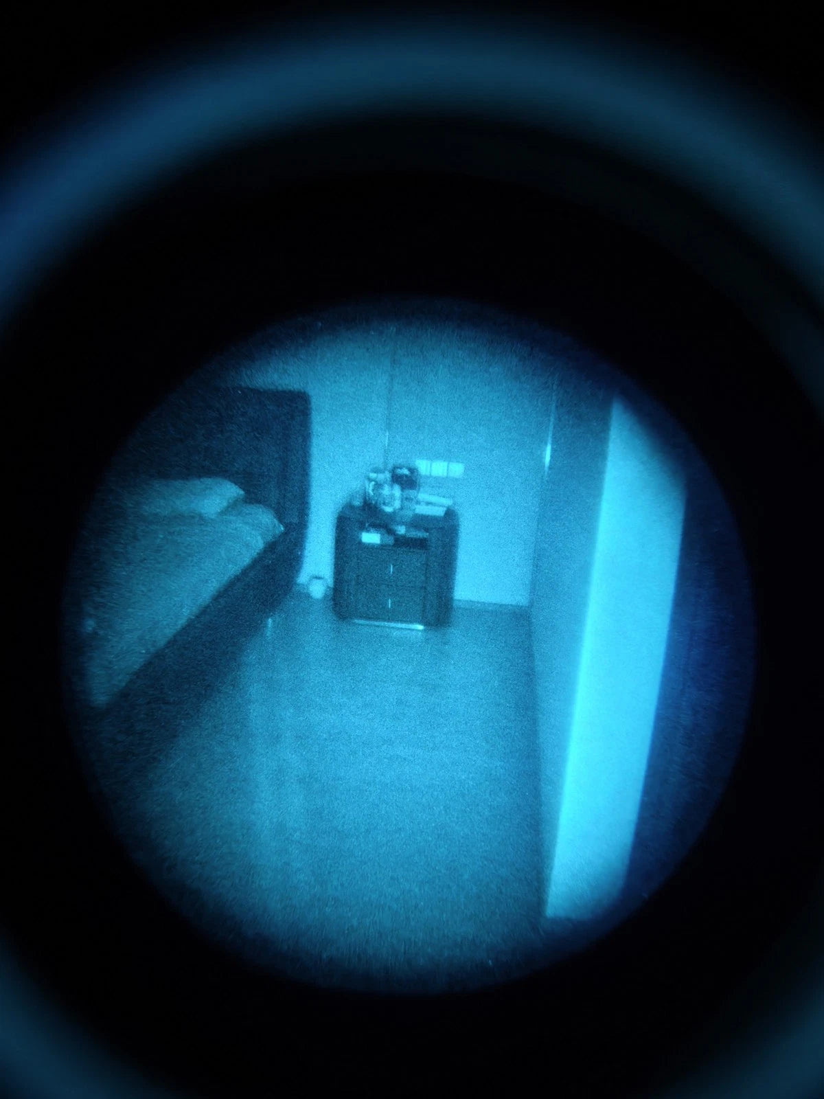 Lan31 White Phosphor Binocular Night Vision System