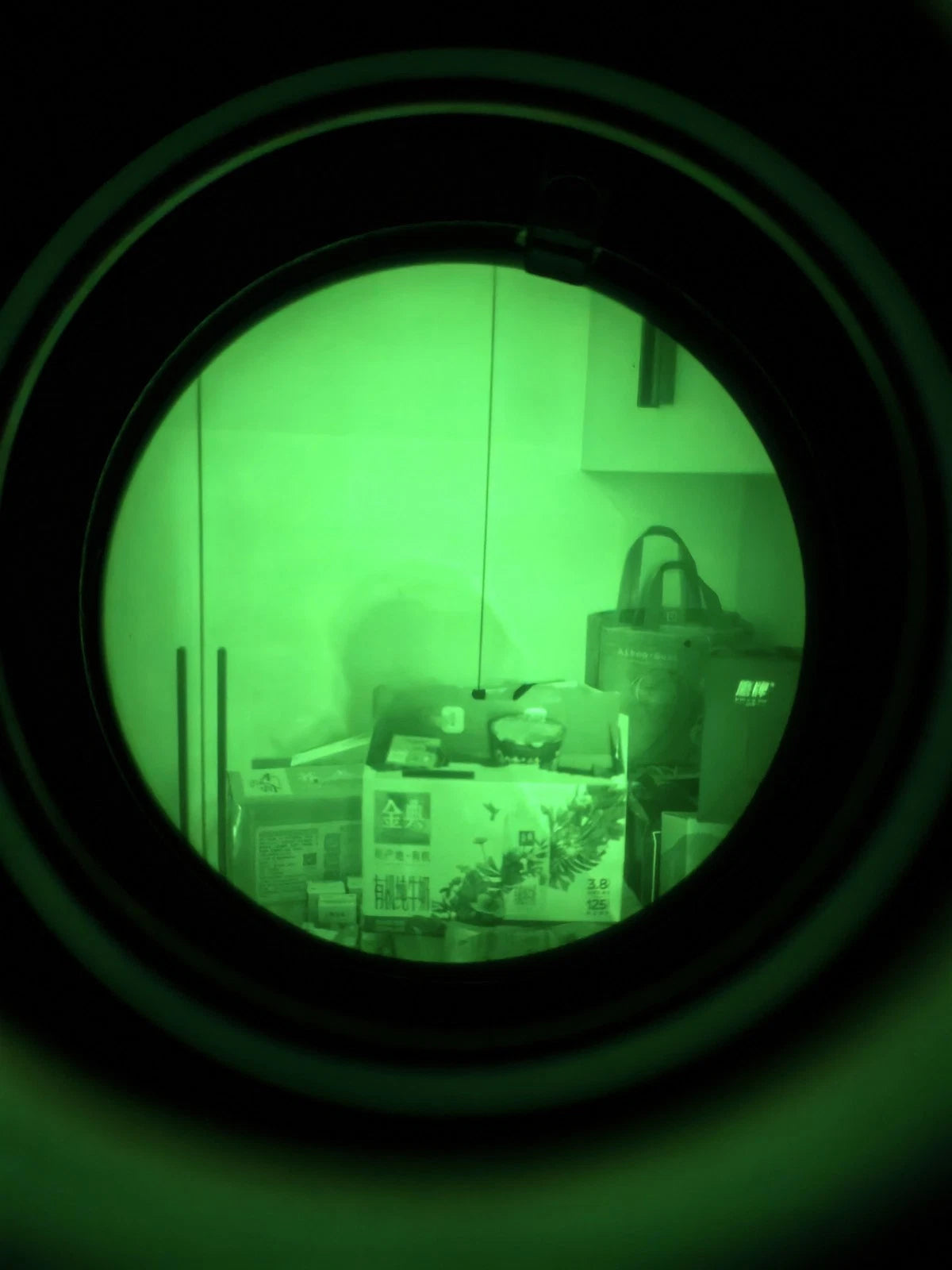 Alexi31 Green Phosphor Binocular Night Vision System