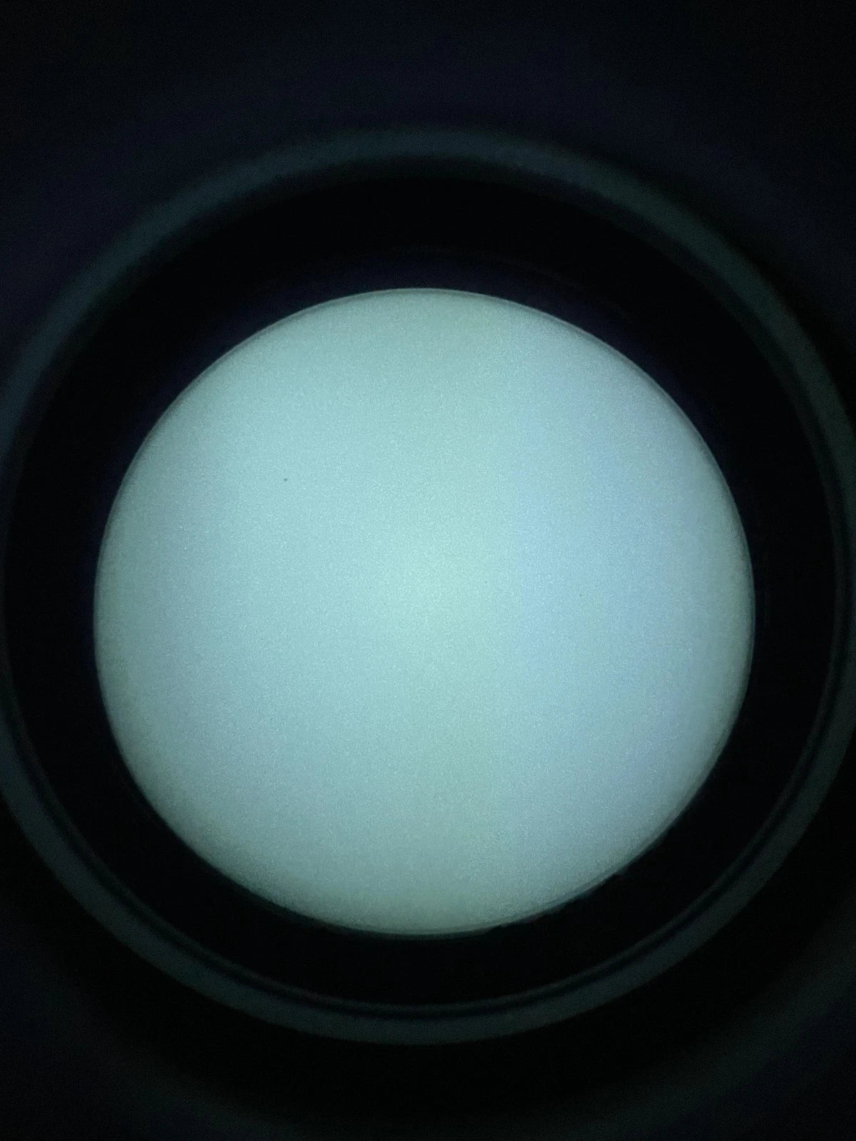 Argus BNVD 1431 White Phosphor NNVT7 FOM2200
