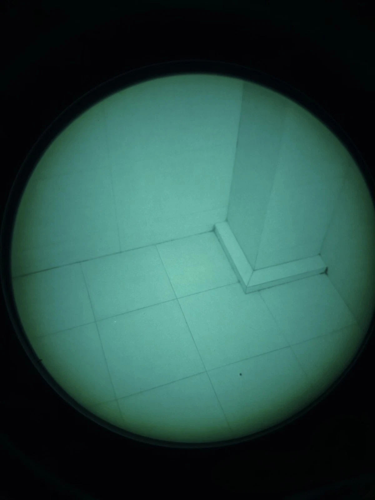 PVS-14 Style NNVT5 White Phosphor Monocular