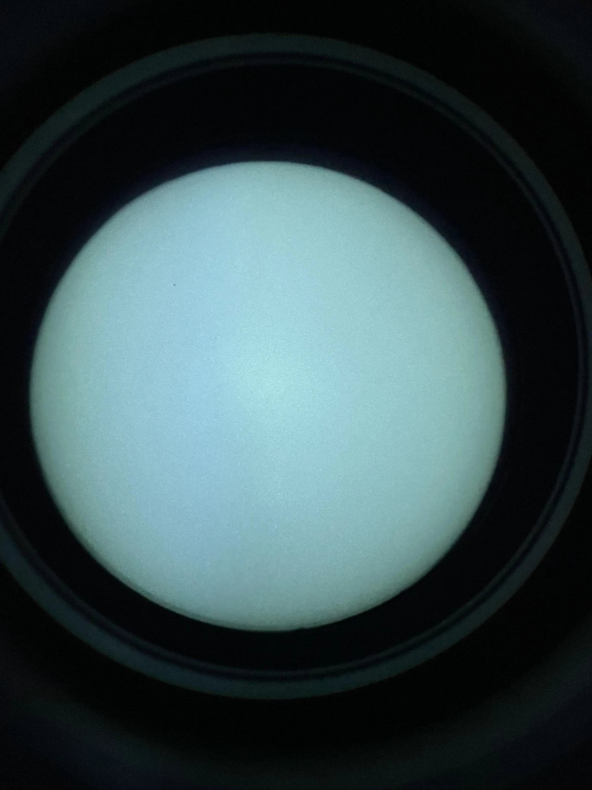 Argus BNVD 1431 White Phosphor NNVT7 FOM2200