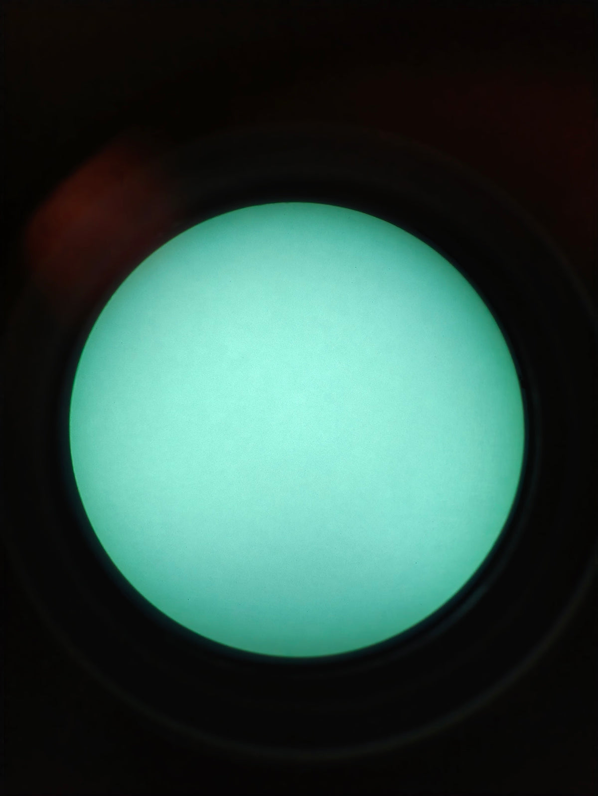 Through-tube photograph from a TC-X1 ATOM white-phosphor night vision binocular, view one; photographed colour and brightness may vary from direct viewing.